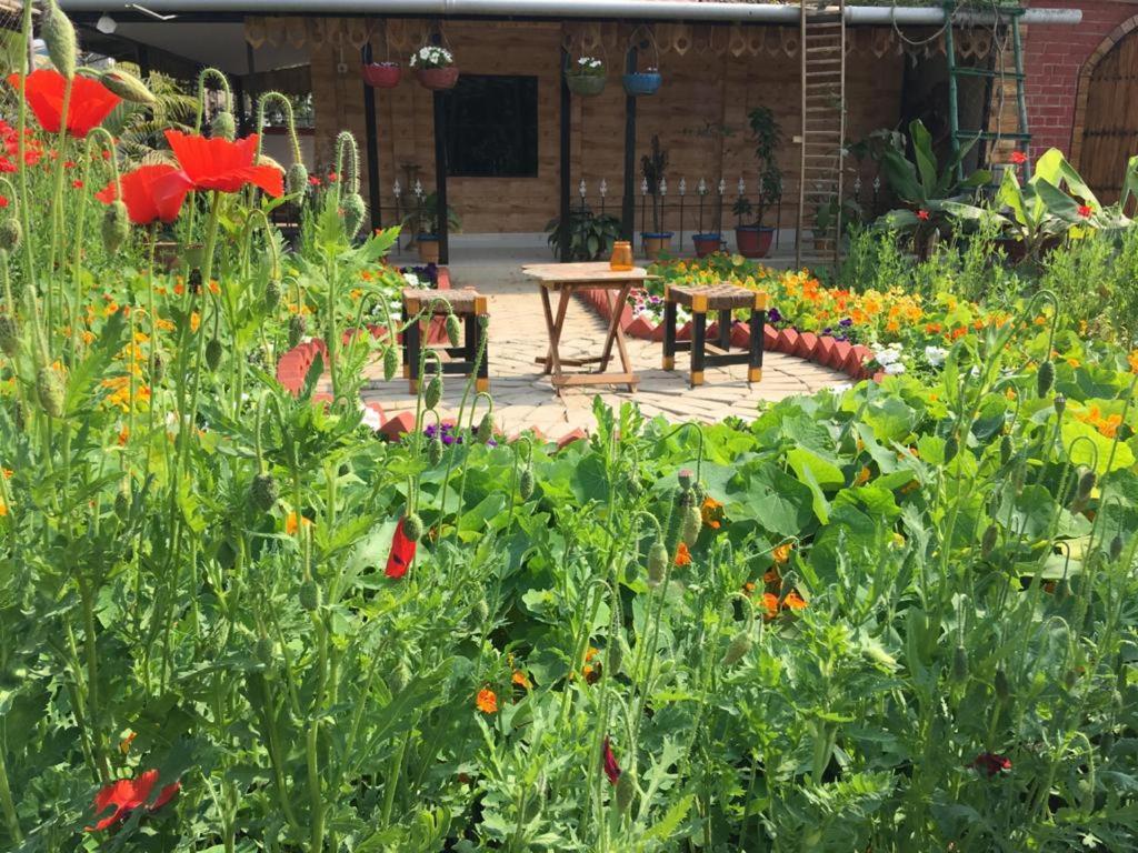 Panchobon Art Resort Shānti Niketan Εξωτερικό φωτογραφία